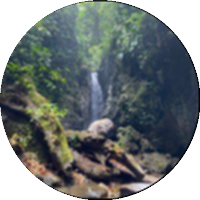 _pmignard (@_pmignard) 's Twitter Profile