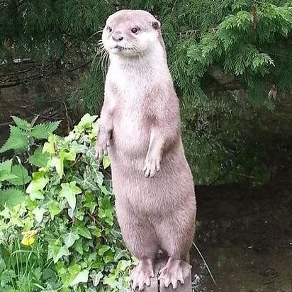 Fly_progect's profile picture. 