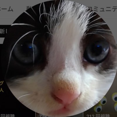 MIX123119's profile picture. 