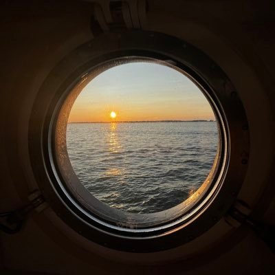 alc_800's profile picture. 