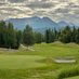 Golf41 (@golfak41) Twitter profile photo Golf41 (@golfak41) Twitter profile photo