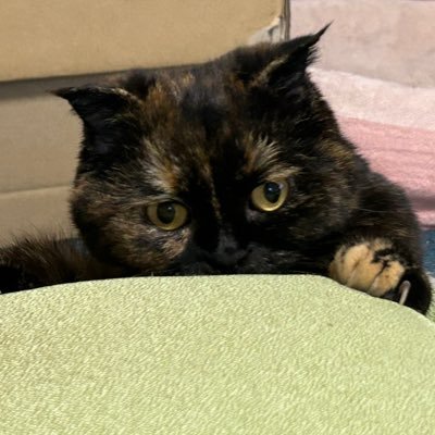 ともや。さんのプロフィール画像