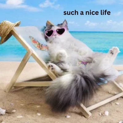 ctvmemecoin's profile picture. you missed out on bitcoin, but not on this one. MENECOINOF2025. preorder now 💸