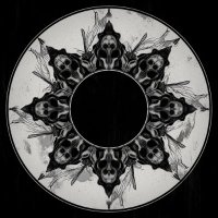 πΏπ¦ BORDERLINEKEVIN πΏπ¦ (@borderlinekevin) 's Twitter Profile