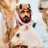 YayaGhamdi's profile image