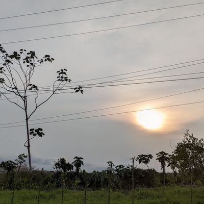 GonzalTomi's profile picture. 