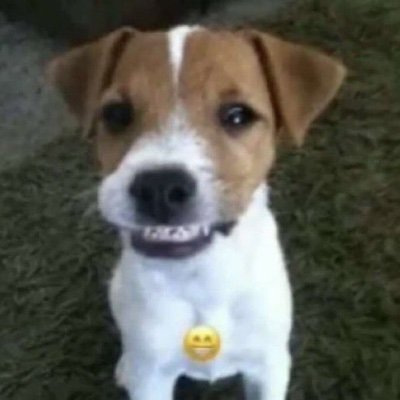 vitoriaaabento's profile picture. .