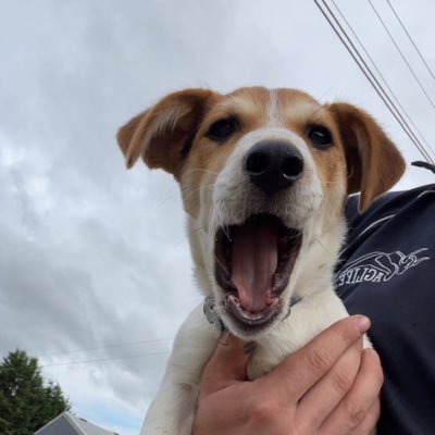 redheadtwins's profile picture. Play and have fun but don’t forget to stack up