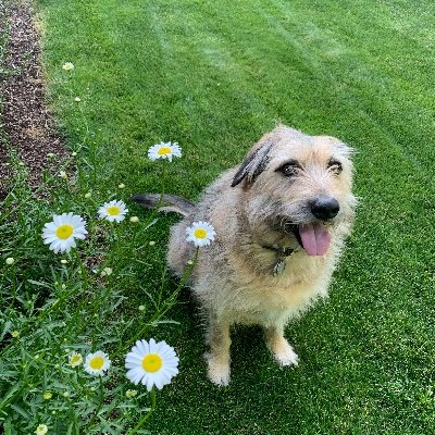 blake86978's profile picture. Hello, I am married to my best friend ❤. 🌻 Family, dog, home, garden, camp and fish.  RIP Charlie Kirk ❤️
Be a good person. MAHA - MAGA NO DM's