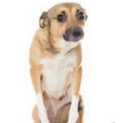 ChrisOverbeck's profile picture. socialist, lover of memes, professional consumer.