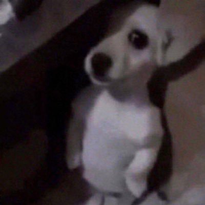 Topdogg44's profile picture. I'm ME