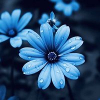 WONDERFUL DAYπ«£ (@wonderfulday_01) 's Twitter Profile Photo WONDERFUL DAYπ«£ (@wonderfulday_01) 's Twitter Profile Photo