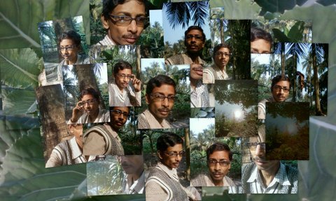 Sanjayrehab's profile picture. 