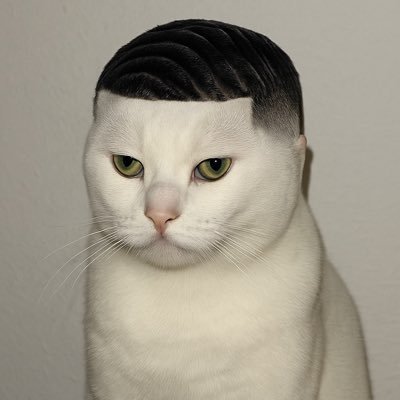 mradultreindeer's profile picture. Fee-fi-fo-fum