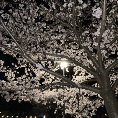 Haija777's profile picture. 
