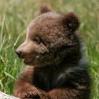 Q (@ayihoca) 's Twitter Profile Photo Q (@ayihoca) 's Twitter Profile Photo
