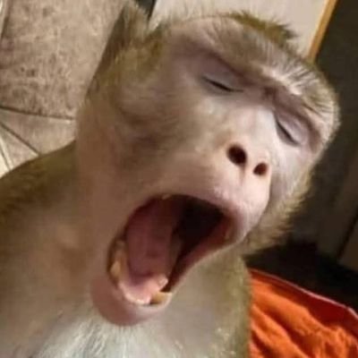 LuizMauric51233's profile picture. 