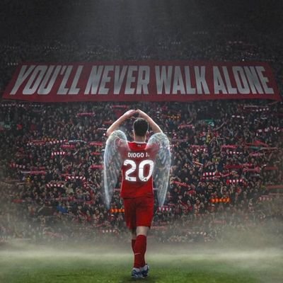 ajsoares291's profile picture. 