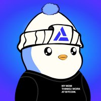 NinjaOnChain🐧 (@ninja0nchain) 's Twitter Profile