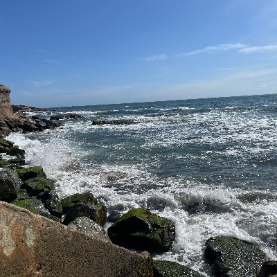 __Poised__'s profile picture. :3