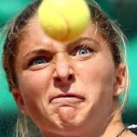 astuaryking's profile picture. 