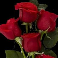 بائعة الورد (@abwalzafr055) Twitter profile photo