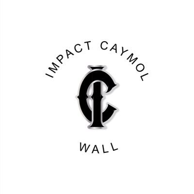 16u Fastpitch (28’/29’) - Head Coach @tcwall45 - AC @raeganwall24 (GA Tech) - AC @alexspinner27 - AC @spinnerzaylan premier2028wall@gmail.com