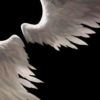 anomalia79028's profile picture. baшляк::::.̸̭̜̪̣̥̤̝̖̥̿̋̏̿̄͑̚͜͠.̵̤͔̣̖̫̦̜̞̼̲̯̒͗͛.̶̳͒̊̀̎́͂̏͠.̶̛̛̘̚͠.̶̹̝̻͚̬̫͔͛̏͋̔̑͐̑̉͗͑͘͠.̷̼͉̞̗̖͎͇̹̍̅͗͂̓̏͒̕.̶̨̗͚͖̣̥̪͕̽̐̕.̴̭̠̳̘̱̼͖̗͐͌̌͘͠.̸̨̮͓̱̠͖̺̺̻͚̿́̋̋͑̈͊͊̀̊̚͝.̶̀