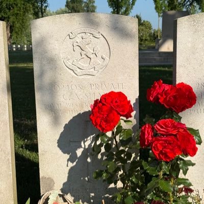 Wayne967291's profile picture. 