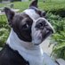 Cacey Simpson 🛢️ (@edwardmunster7) Twitter profile photo Cacey Simpson 🛢️ (@edwardmunster7) Twitter profile photo