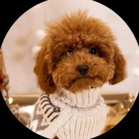 Emmzy.sol (@rtdgambler) 's Twitter Profile Photo Emmzy.sol (@rtdgambler) 's Twitter Profile Photo