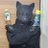 vinegar_catman