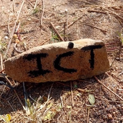 Crownwell561's profile picture. ICT/CRT trader 📊📊