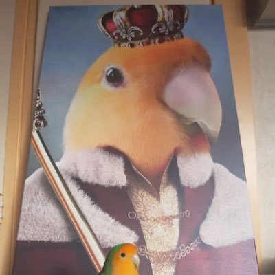 Parrotsdev's profile picture. Gaming twitter account pt3