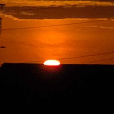 pips356's profile picture. 