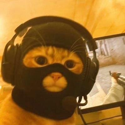 tismticker's profile picture. Crypto and Stocks                                          $btbt $sbet $hut