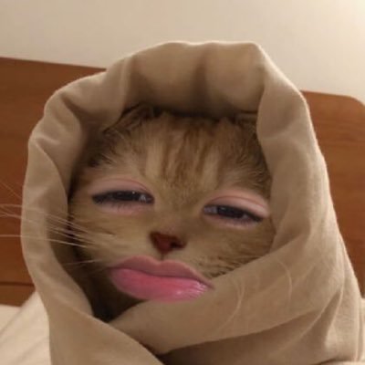 _kiddoooooooooo's profile picture. 