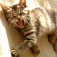 kuma (@kuma_48_kuma) Twitter profile photo