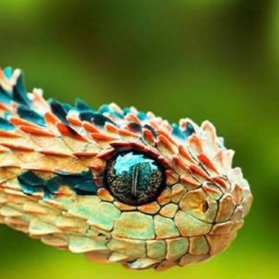 Muhsinakma37061's profile picture. Vatan askeri🇹🇷