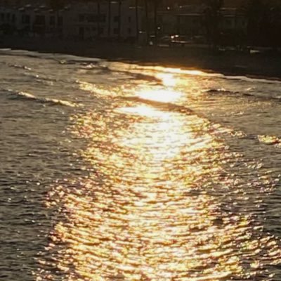 andreeayuuu's profile picture. she/her