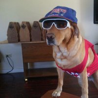 Skirby Puckett (@207celtics) 's Twitter Profile