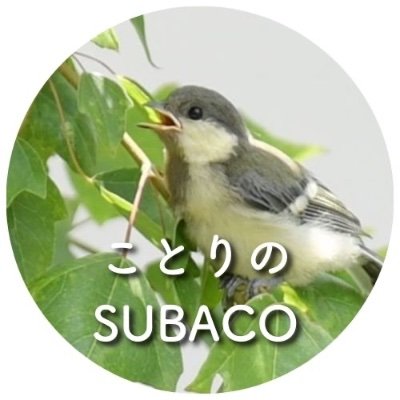 野鳥の見守り人🕊️活動場所:主に自宅庭と近所の川と森🌿自宅庭から小鳥たちの世界をそっとのぞき見🕊️「見守るだけ」のつもりがいつの間にか沼でした🤣東京近郊在住🏠2025年:ハト&ヒヨ営巣🥚🐣 シジュウカラは不在届中? スズメは…通過組?無言フォロー&鳥トーク大歓迎!YouTube🔰
