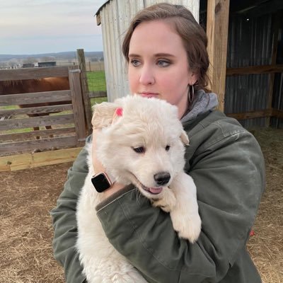 🤓 Full time nerd 🎥 Streamer 🩷 Lurker 👻 @ghostgaming Discord Community Manager 🐶 Dog mom 💍 CFB 🎨 Dabbling graphics creative mindofmegs@gmail.com