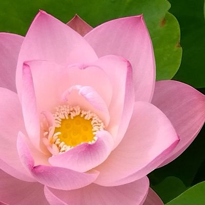 ✧沖縄在住✧彩の国(埼玉県)ピアノの演奏活動で芸術表彰。音楽教室主宰(平成)。 沖縄の音楽家と多数共演✩既婚 ☆音楽・写真・香・小説・不思議大好き♡無言フォロー歓迎。他愛もないことを綴っていますが宜しくお願いします🌺足腰痛め療養中。DMご遠慮願います。