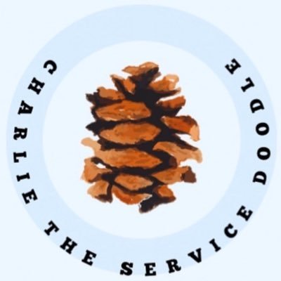 Charlie_theSD's profile picture. 🔴POTS Multipurpose Service Dog🔴 ▪️Charlie: 3-year-old goldendoodle 🐾 ▫️I'm a part of #LucysCrew ▪️DM to collaborate/partner with us!