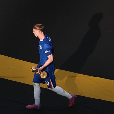 tylerlikescurry's profile picture. YOU ARE MY CHELSEA, MY ONLY CHELSEA 

YOU MAKE ME HAPPY WHEN SKIES ARE GREY

YOU'LL NEVER NOTICE HOW MUCH I LOVE YOU 

UNTIL U'VE TAKEN MY CHELSEA AWAYYYYYY