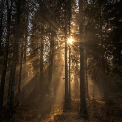 ibr7lm's profile picture. Visca Barça ❤️💙