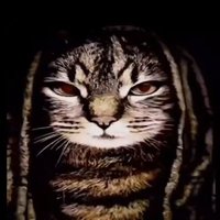 Something Crew (@smthgng) 's Twitter Profile Photo