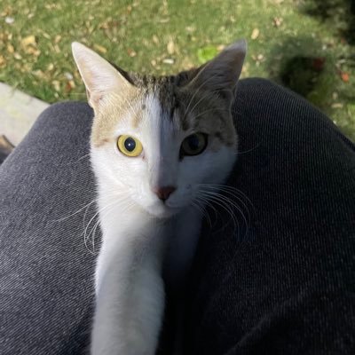 DrMu93's profile picture. 