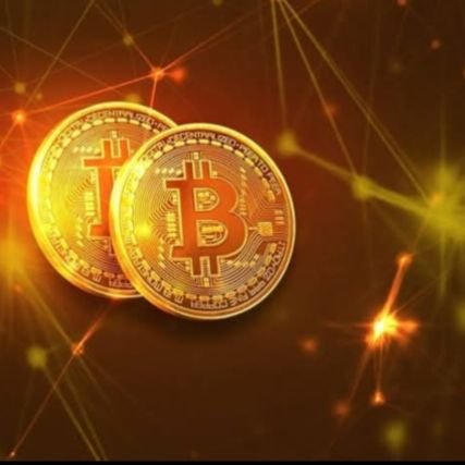 crypto48583's profile picture. 